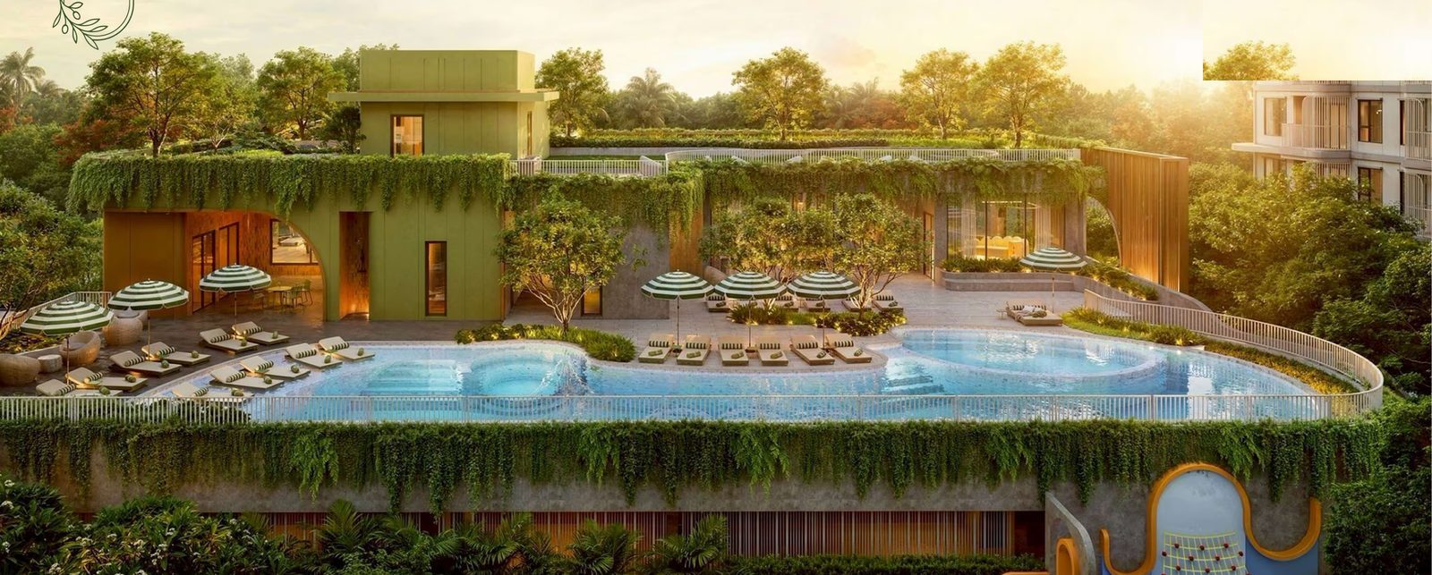 The Olive — lap pool