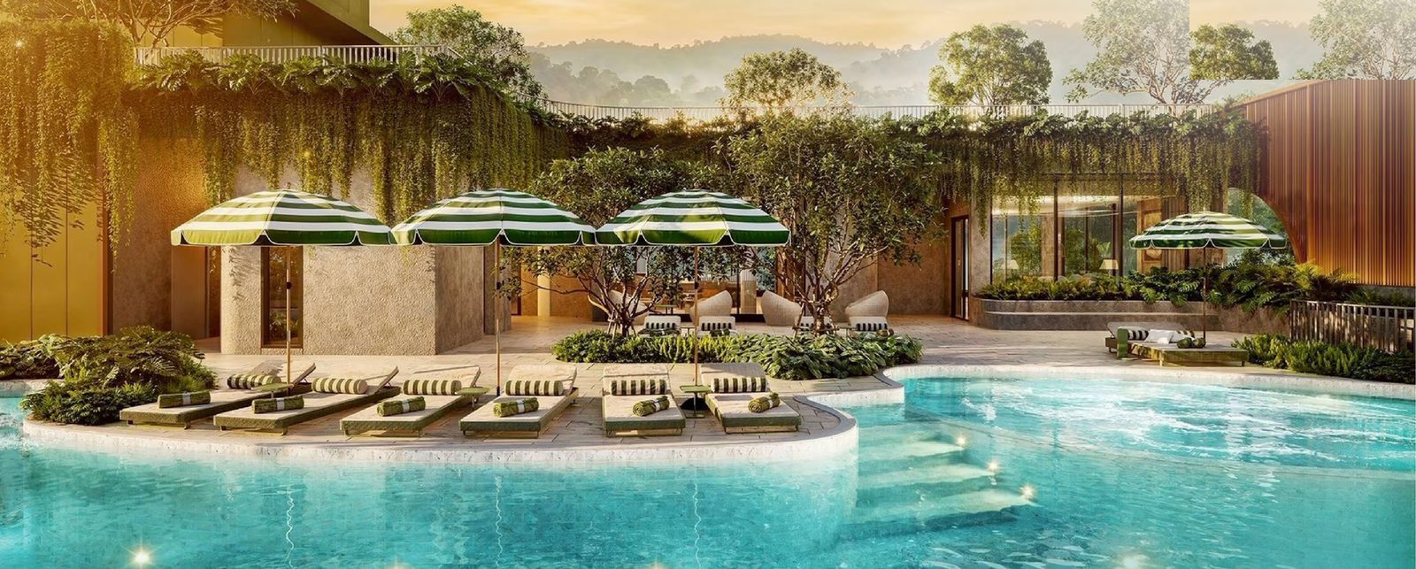 The Olive — pool deck